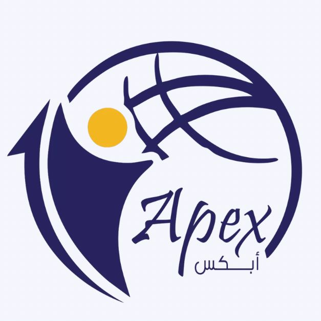 APEX FZ LLC logo